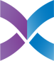 Connex Foundation Scholarship logo